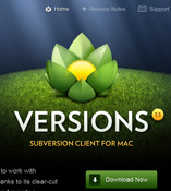 versions-1